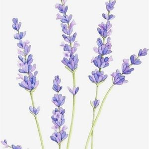 Meet your Posher, Kylie